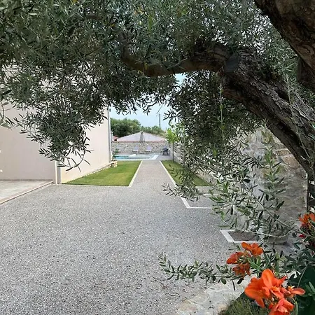 Cocoon Elegant Living Daire *